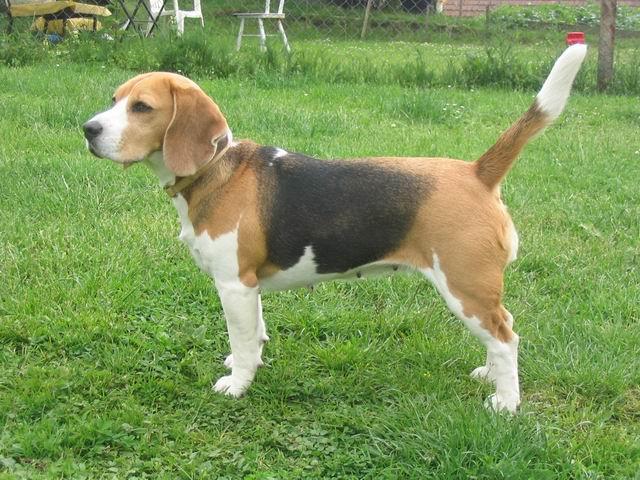 kliknutím zavřete okno