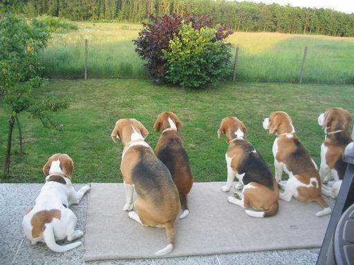 kliknutím zavřete okno