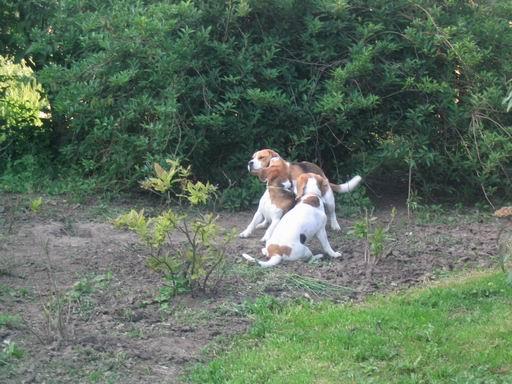 kliknutím zavřete okno