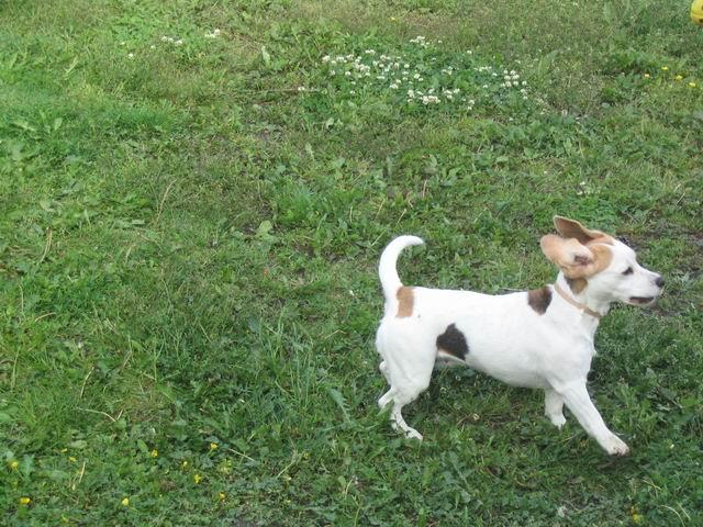 kliknutím zavřete okno