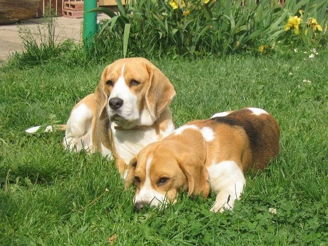 kliknutím zavřete okno