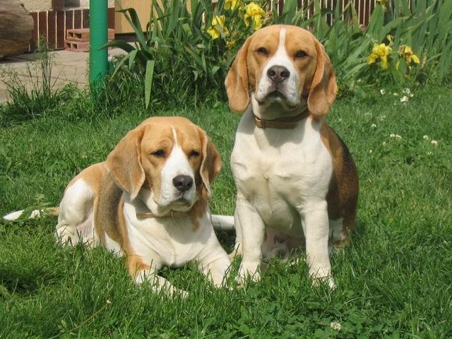 kliknutím zavřete okno