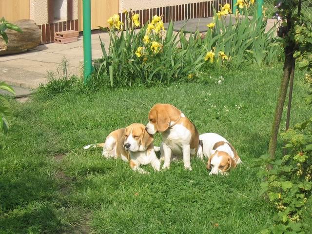 kliknutím zavřete okno