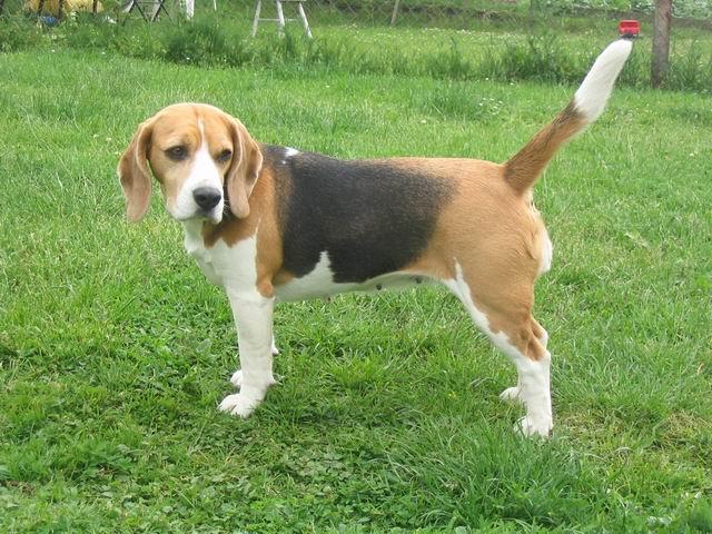 kliknutím zavřete okno