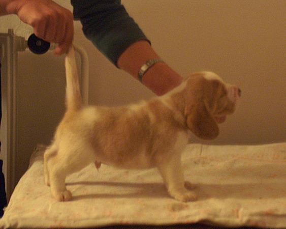 kliknutím zavřete okno