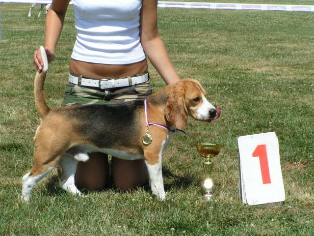 kliknutím zavřete okno