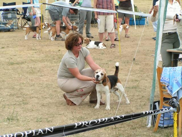 kliknutím zavřete okno