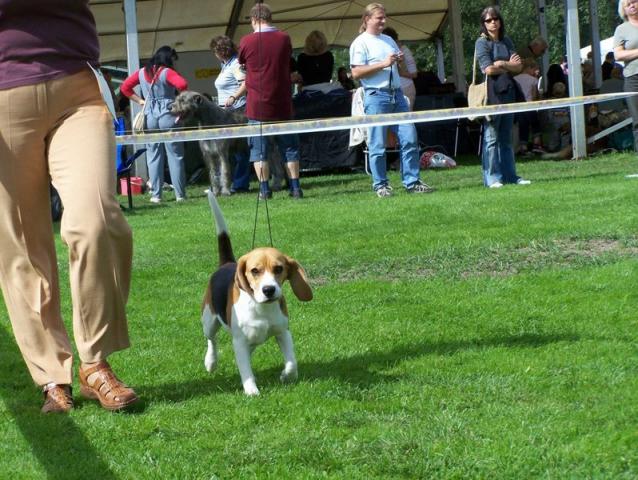 kliknutím zavřete okno