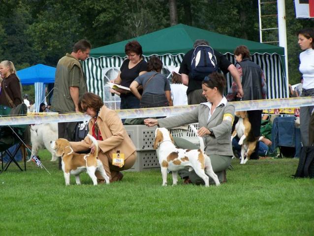 kliknutím zavřete okno