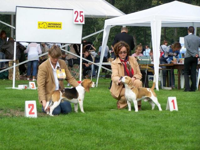 kliknutím zavřete okno