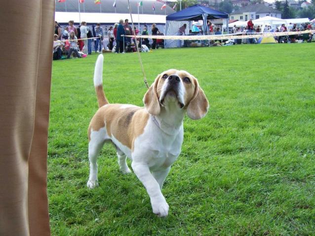 kliknutím zavřete okno