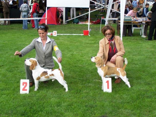 kliknutím zavřete okno