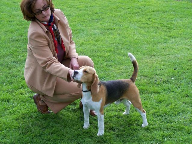 kliknutím zavřete okno