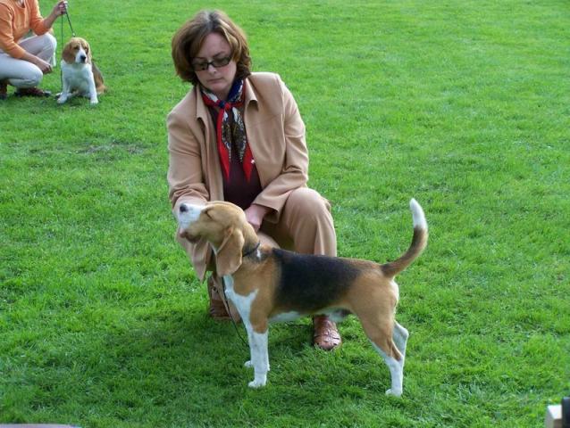 kliknutím zavřete okno