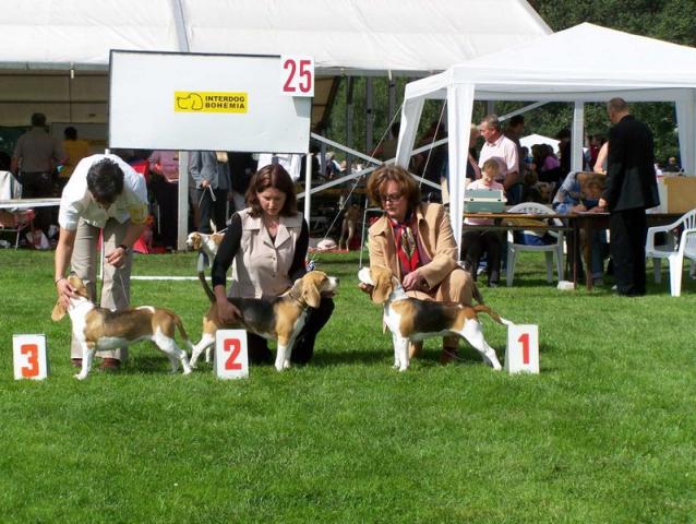 sestry - Howdy a Denny