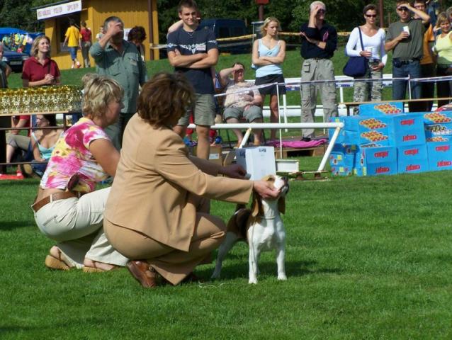 kliknutím zavřete okno