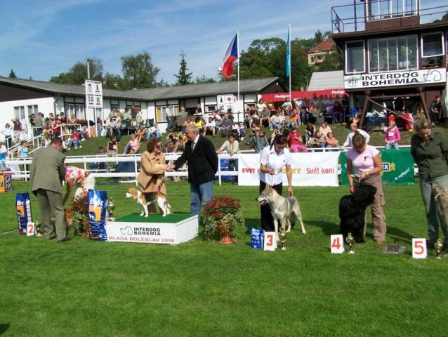 Howdy nejlepší ml. fena