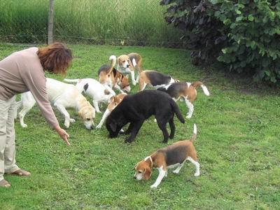 kliknutím zavřete okno