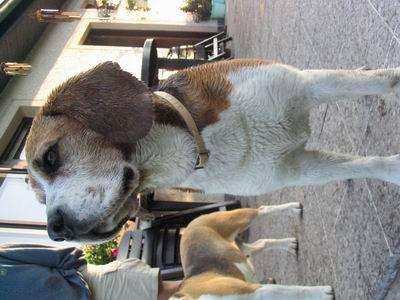 po prekonani rybnika