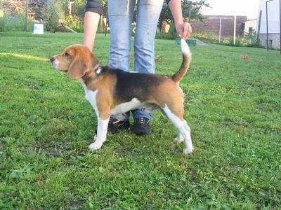 kliknutím zavřete okno