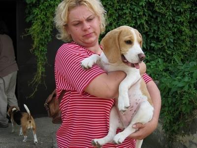 kliknutím zavřete okno