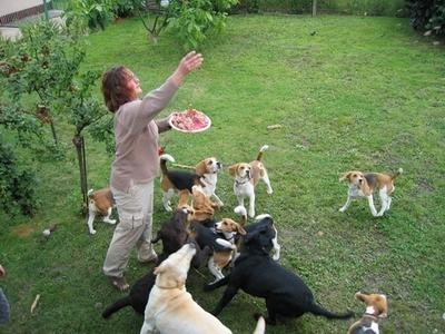 kliknutím zavřete okno