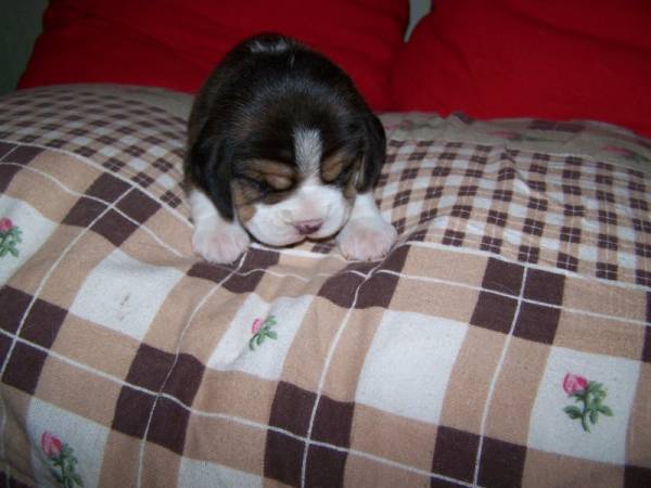 kliknutím zavřete okno