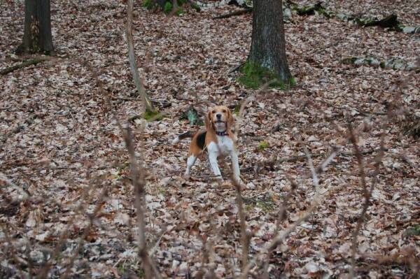 kliknutím zavřete okno