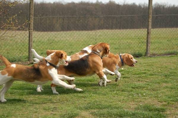 kliknutím zavřete okno