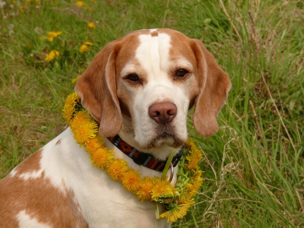 kliknutím zavřete okno