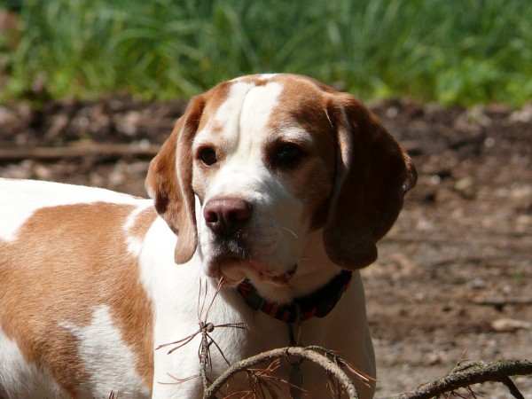 kliknutím zavřete okno
