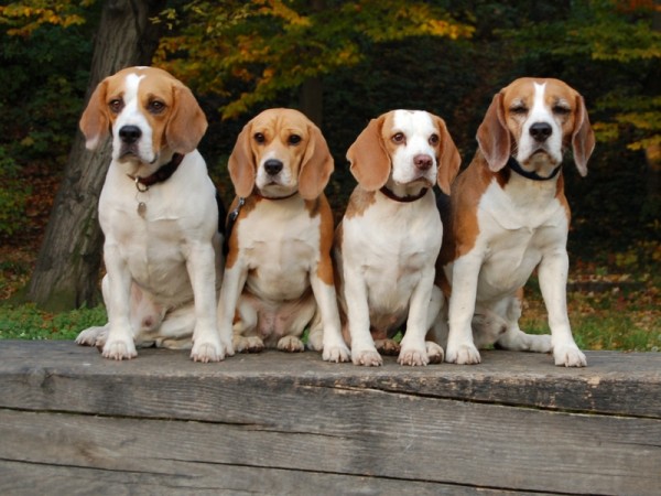 kliknutím zavřete okno