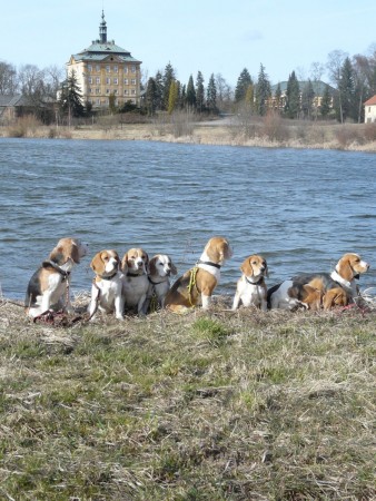 kliknutím zavřete okno