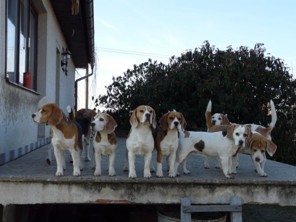 kliknutím zavřete okno