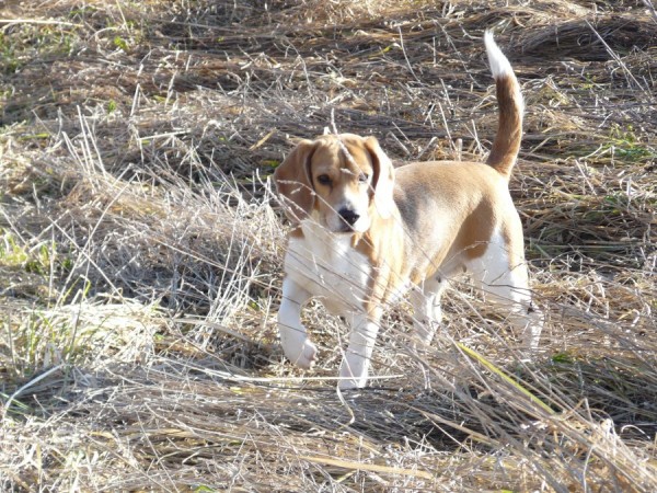 kliknutím zavřete okno