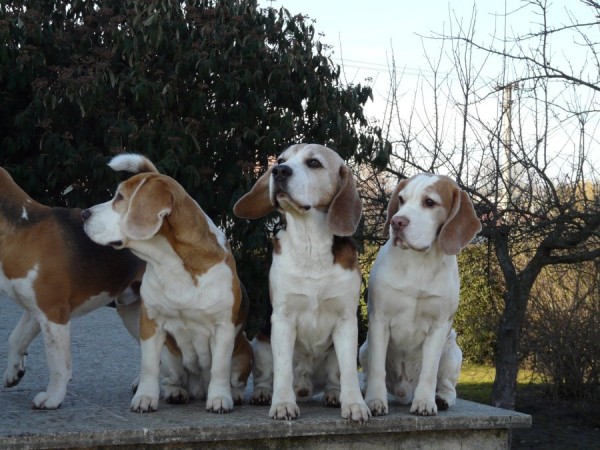 kliknutím zavřete okno