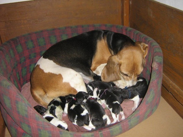 kliknutím zavřete okno