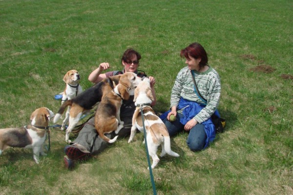 kliknutím zavřete okno