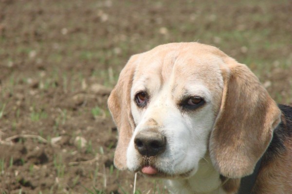 kliknutím zavřete okno