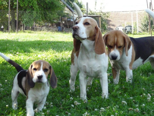 kliknutím zavřete okno