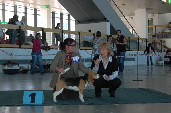 kliknutím zavřete okno