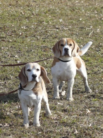 kliknutím zavřete okno