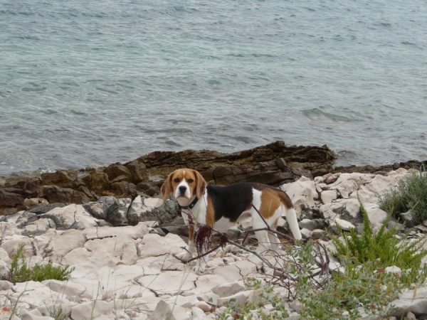 kliknutím zavřete okno