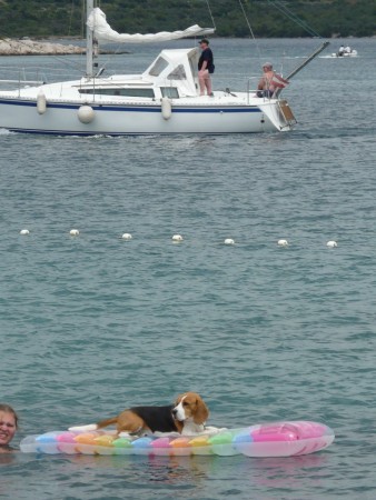 kliknutím zavřete okno