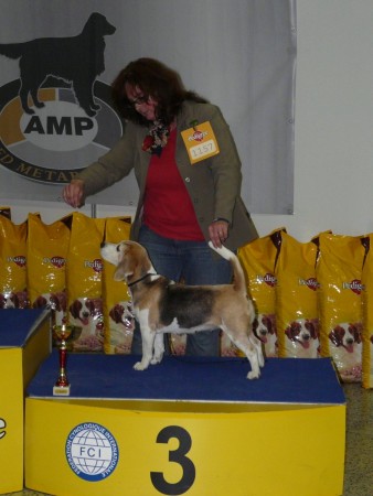 kliknutím zavřete okno