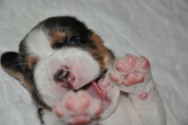 kliknutím zavřete okno