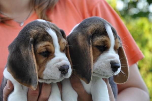 kliknutím zavřete okno