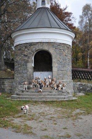 kliknutím zavřete okno