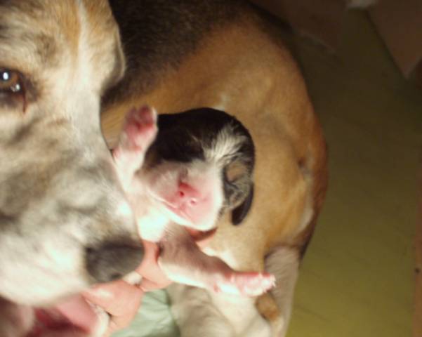 kliknutím zavřete okno