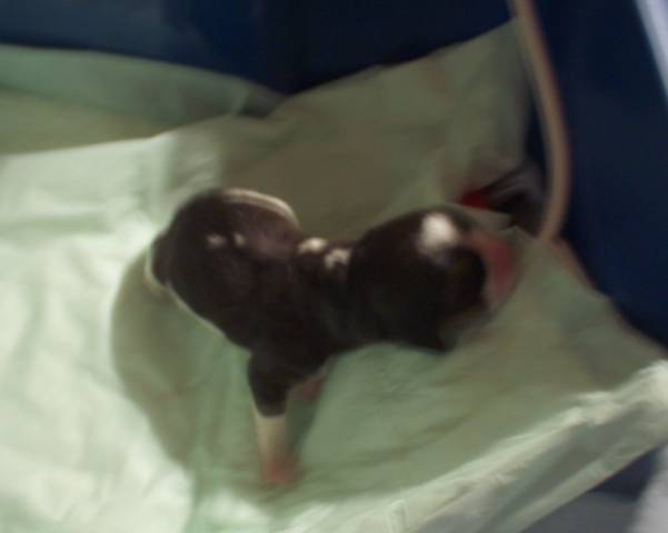 kliknutím zavřete okno